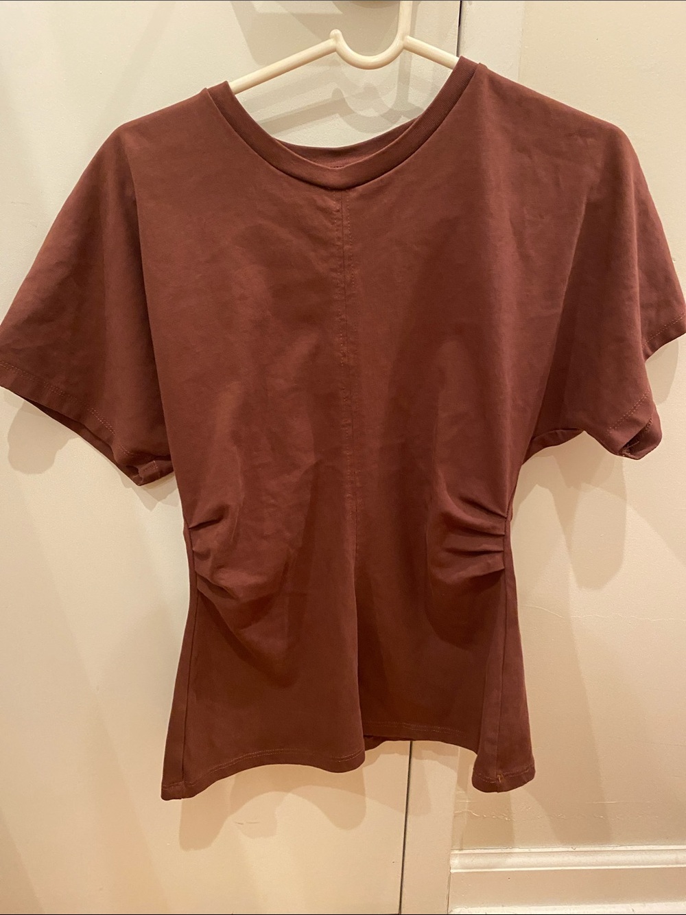 Zara Short-Sleeve Crewneck Top in Deep Brown